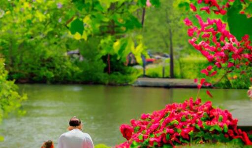 How To Picnic Date